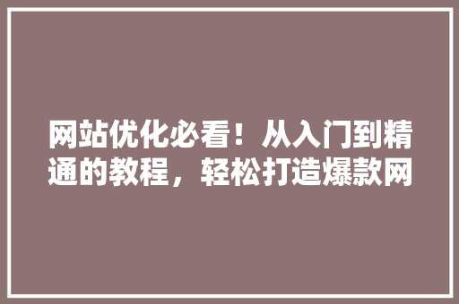 网站优化必看！从入门到精通的教程，轻松打造爆款网站！
