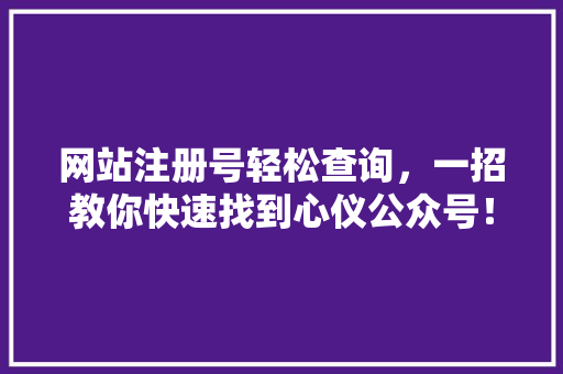 网站注册号轻松查询，一招教你快速找到心仪公众号！
