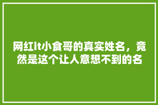网红it小食哥的真实姓名，竟然是这个让人意想不到的名字！