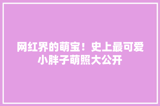 网红界的萌宝！史上最可爱小胖子萌照大公开 360搜优化