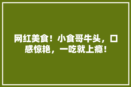 网红美食！小食哥牛头，口感惊艳，一吃就上瘾！ seo技术