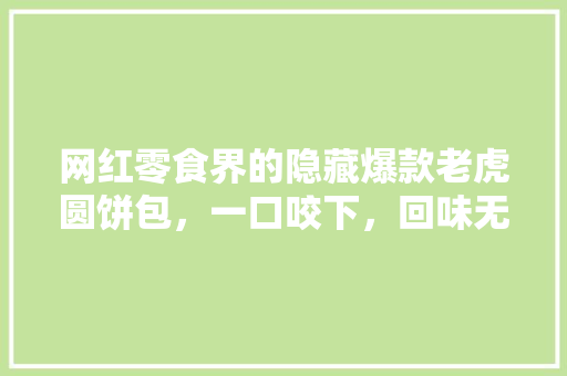 网红零食界的隐藏爆款老虎圆饼包，一口咬下，回味无穷！