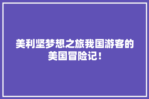 美利坚梦想之旅我国游客的美国冒险记！