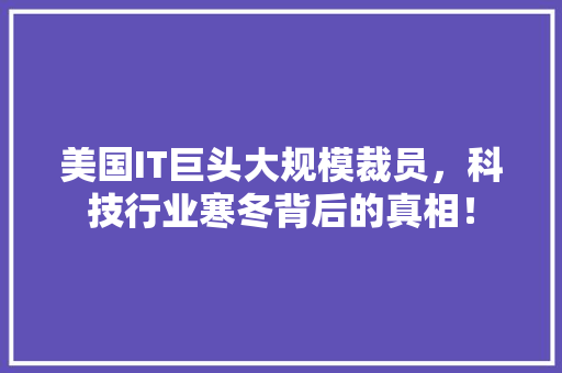 美国IT巨头大规模裁员，科技行业寒冬背后的真相！ seo技术