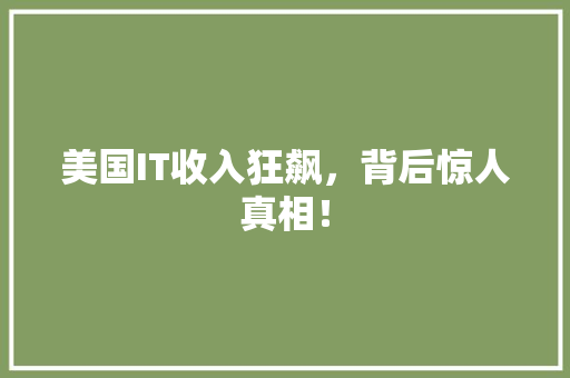 美国IT收入狂飙，背后惊人真相！ 小程序开发