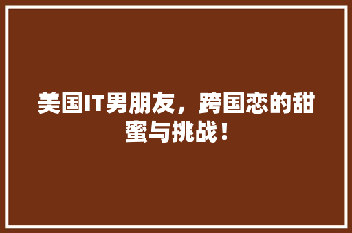美国IT男朋友，跨国恋的甜蜜与挑战！