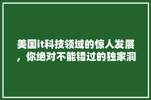 美国it科技领域的惊人发展，你绝对不能错过的独家洞察！ AI技术学习