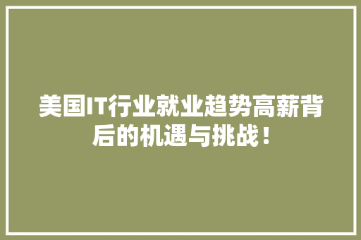 美国IT行业就业趋势高薪背后的机遇与挑战！ 网站开发