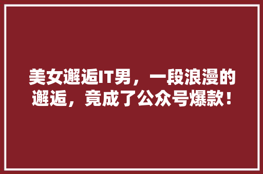 美女邂逅IT男，一段浪漫的邂逅，竟成了公众号爆款！