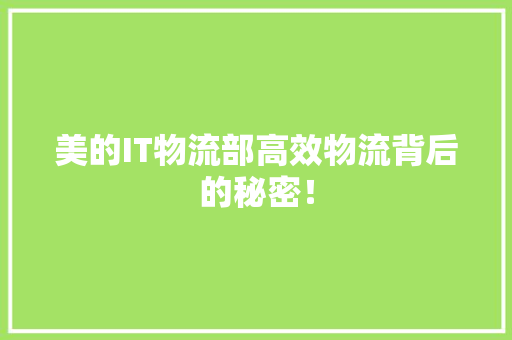 美的IT物流部高效物流背后的秘密！