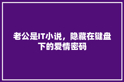老公是IT小说，隐藏在键盘下的爱情密码