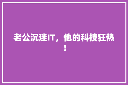 老公沉迷IT，他的科技狂热！ 搜狗优化