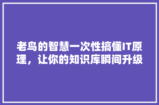 老鸟的智慧一次性搞懂IT原理，让你的知识库瞬间升级！ 头条优化