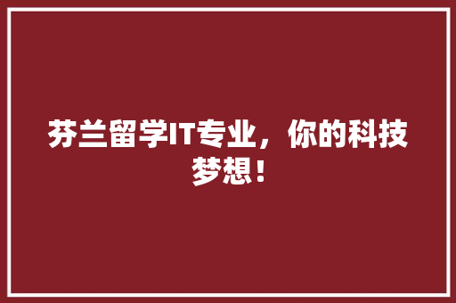 芬兰留学IT专业，你的科技梦想！