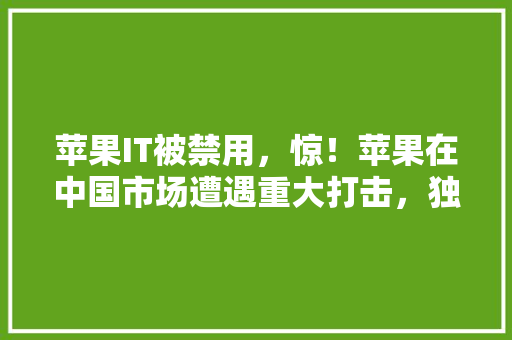 苹果IT被禁用，惊！苹果在中国市场遭遇重大打击，独家