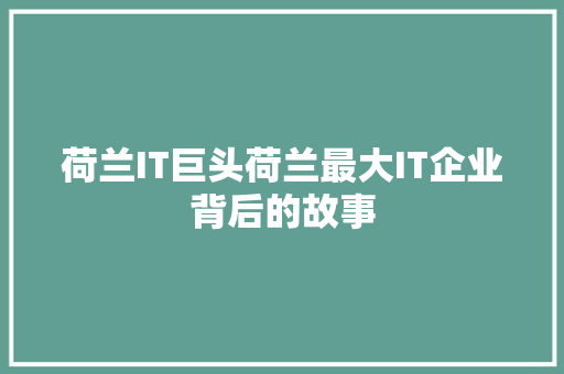荷兰IT巨头荷兰最大IT企业背后的故事
