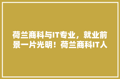 荷兰商科与IT专业，就业前景一片光明！荷兰商科IT人才的黄金时代！ 头条优化
