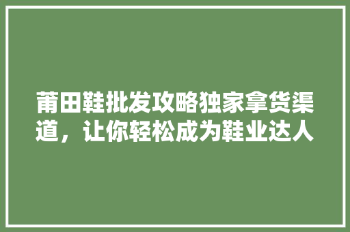 莆田鞋批发攻略独家拿货渠道，让你轻松成为鞋业达人！