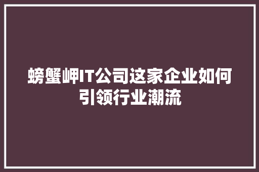 螃蟹岬IT公司这家企业如何引领行业潮流