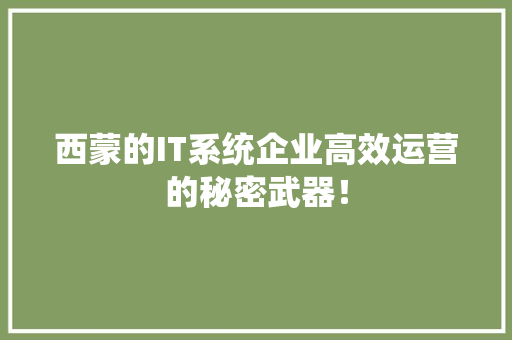 西蒙的IT系统企业高效运营的秘密武器！