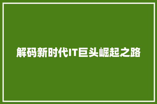 解码新时代IT巨头崛起之路