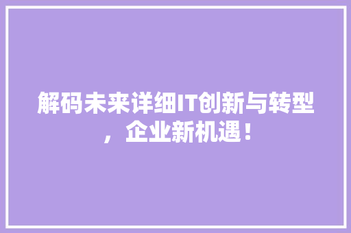 解码未来详细IT创新与转型，企业新机遇！ seo技术