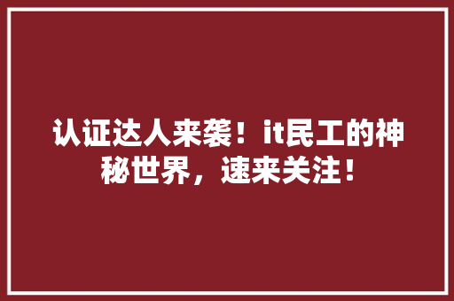 认证达人来袭！it民工的神秘世界，速来关注！