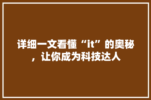详细一文看懂“it”的奥秘，让你成为科技达人 seo技术