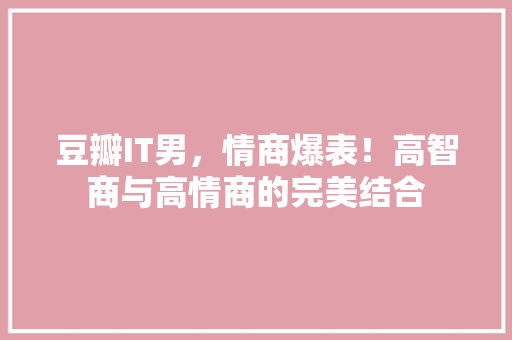 豆瓣IT男，情商爆表！高智商与高情商的完美结合 头条优化