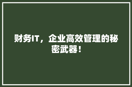 财务IT，企业高效管理的秘密武器！ 搜狗优化
