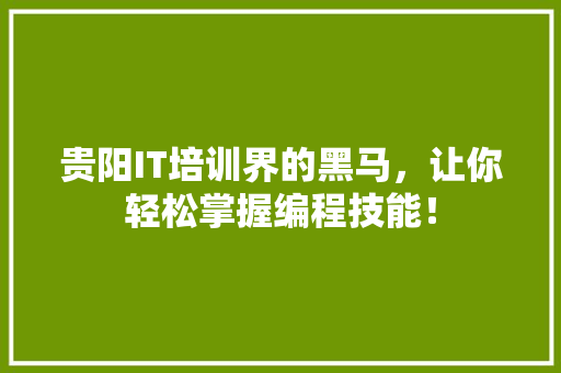 贵阳IT培训界的黑马，让你轻松掌握编程技能！