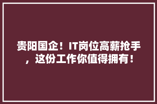 贵阳国企！IT岗位高薪抢手，这份工作你值得拥有！