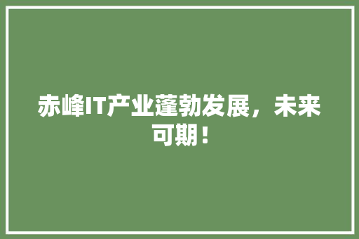 赤峰IT产业蓬勃发展，未来可期！