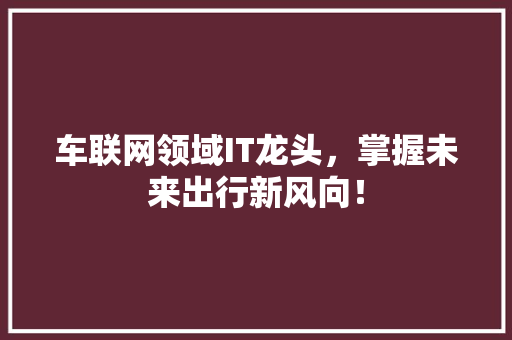 车联网领域IT龙头，掌握未来出行新风向！