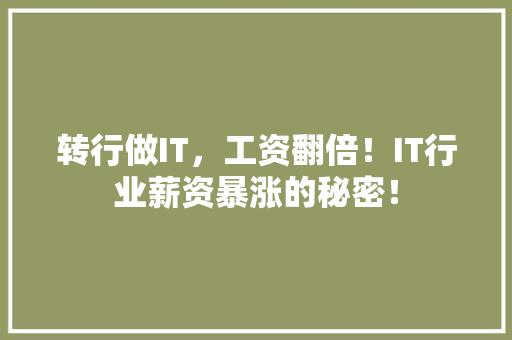 转行做IT，工资翻倍！IT行业薪资暴涨的秘密！ 360搜优化