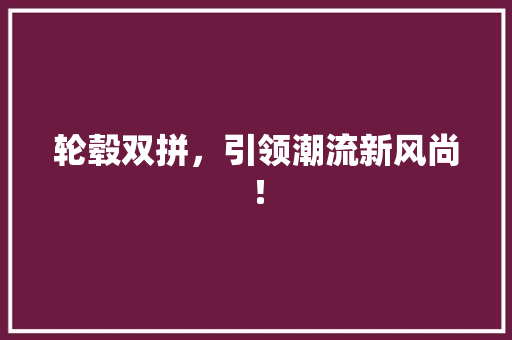 轮毂双拼，引领潮流新风尚！ 小程序开发