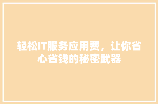 轻松IT服务应用费，让你省心省钱的秘密武器