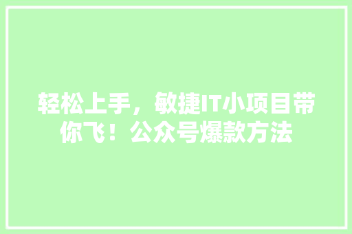 轻松上手，敏捷IT小项目带你飞！公众号爆款方法 网站优化
