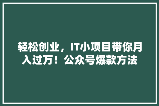 轻松创业，IT小项目带你月入过万！公众号爆款方法 头条优化