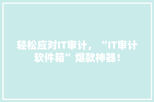轻松应对IT审计，“IT审计软件箱”爆款神器！