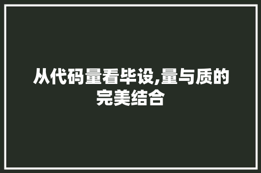从代码量看毕设,量与质的完美结合