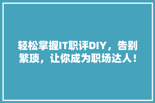 轻松掌握IT职评DIY，告别繁琐，让你成为职场达人！