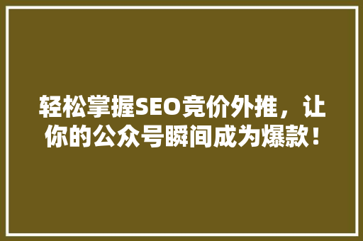 轻松掌握SEO竞价外推，让你的公众号瞬间成为爆款！ 网站优化