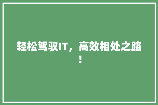 轻松驾驭IT，高效相处之路！ 小程序开发