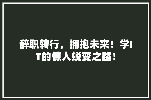辞职转行，拥抱未来！学IT的惊人蜕变之路！ 小程序开发