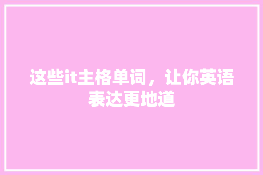 这些it主格单词，让你英语表达更地道 seo技术