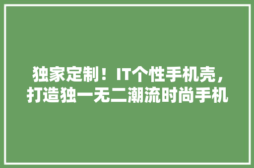 独家定制！IT个性手机壳，打造独一无二潮流时尚手机新装