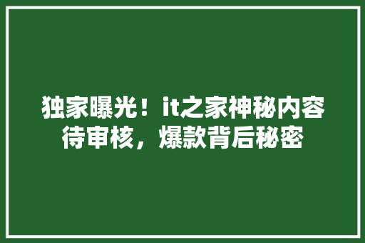独家曝光！it之家神秘内容待审核，爆款背后秘密