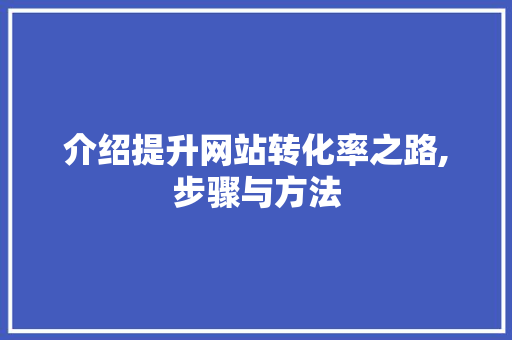 介绍提升网站转化率之路,步骤与方法