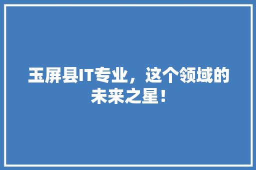 玉屏县IT专业，这个领域的未来之星！ 英文谷歌算法